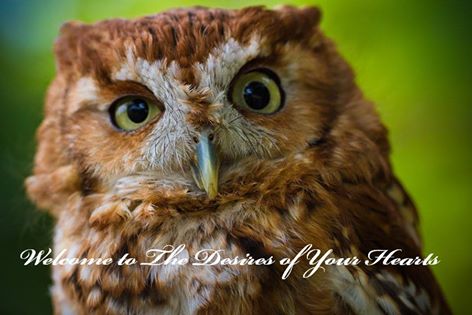 Thee Official Desires of Your Hearts Screech Owl